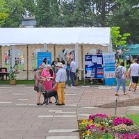 Ein großes weißes Zelt ist im Bildmittelpunkt zu sehen, dieses steht im Brunnenpark des Pfalzklinikum. Zusätzlich sind weitere Pavillons und Stände sowie Menschen zu sehen.