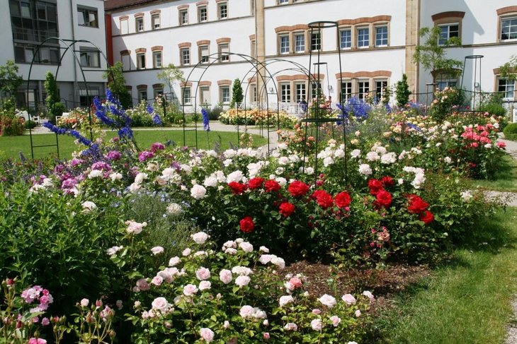 Die Theatergruppe Chawwerusch zeigt ihr neues Sommerstück im Rosengarten des Pfalzklinikums.