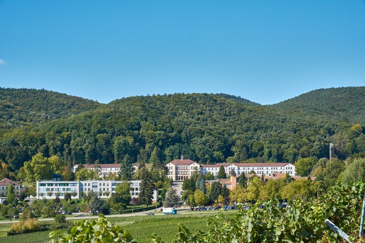 Der Pfalzklinikum-Mutterstandort in Klingenmünster ist auf diesem Foto aus der Ferne zu sehen.
