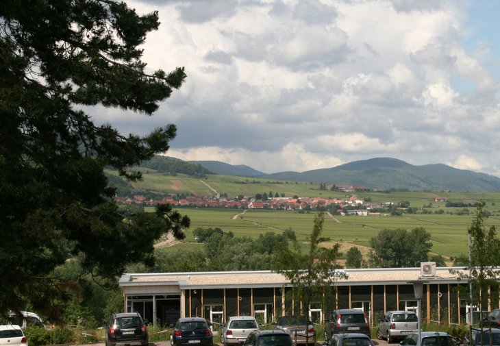 Aus dem Neubau der P 15 hat man einen phantastischen Blick in die blühende Landschaft.